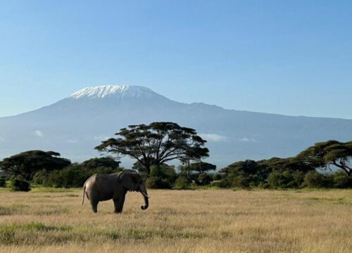 Amboseli National Park