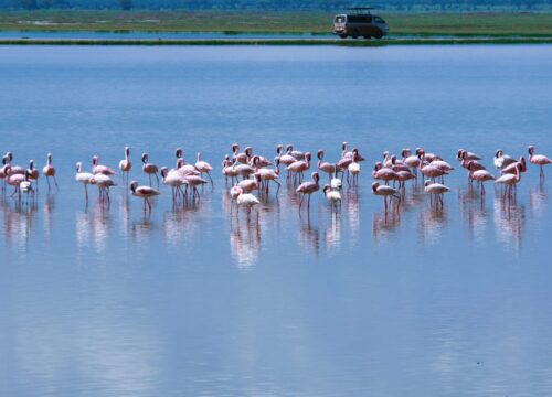 Lake Nakuru