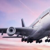 Travel Insurance and Risk Management